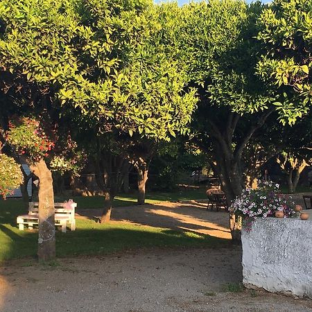 알게로 La Purissima B&B 외부 사진